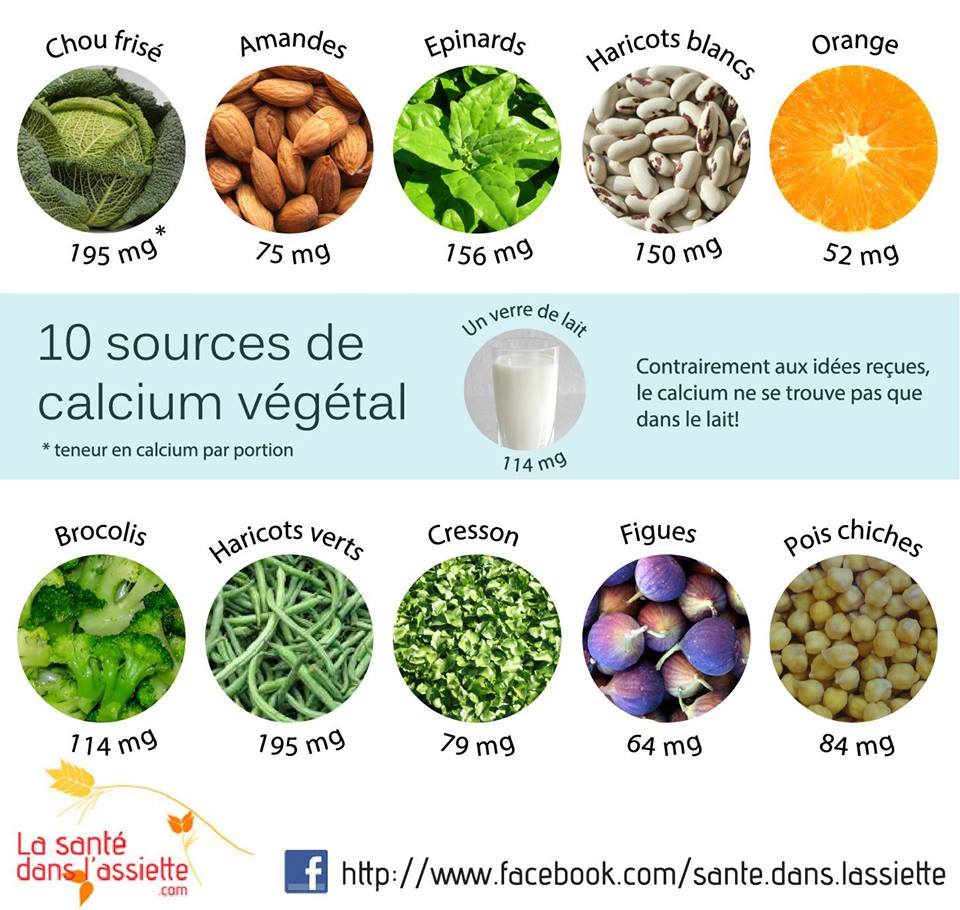 sources-de-calcium